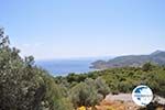View to bay near Aghia Marina | Aegina | Greece  - Photo GreeceGuide.co.uk