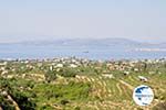 View to the Northwest of Aegina | Greece | Greece  Photo 3 - Photo GreeceGuide.co.uk