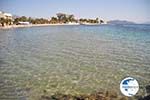 Aegina town | Greece | Greece  Photo 41 - Photo GreeceGuide.co.uk