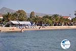 Aegina town | Greece | Greece  Photo 42 - Photo GreeceGuide.co.uk