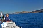 The island of Agathonissi - Dodecanese islands photo 66 - Photo GreeceGuide.co.uk