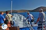 The island of Agathonissi - Dodecanese islands photo 2 - Photo GreeceGuide.co.uk