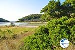 Small lake between Limenaria and Aponissos | Angistri (Agkistri) - Saronic Gulf Islands - Greece | Photo 4 - Photo GreeceGuide.co.uk