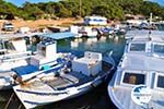 Aponissos | Angistri (Agkistri) - Saronic Gulf Islands - Greece | Photo 12 - Photo GreeceGuide.co.uk
