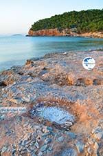 Dragonera | Angistri (Agkistri) - Saronic Gulf Islands - Greece | Photo 1 - Photo GreeceGuide.co.uk