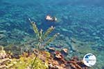 Angistri (Agkistri) - Saronic Gulf Islands - Greece | Greece  - Photo GreeceGuide.co.uk