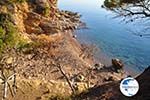 Klein Sandy beach between the dennebomen near Skala | Angistri (Agkistri) - Saronic Gulf Islands - Greece | Photo 2 - Photo GreeceGuide.co.uk