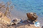 Klein Sandy beach between the dennebomen near Skala | Angistri (Agkistri) - Saronic Gulf Islands - Greece | Photo 5 - Photo GreeceGuide.co.uk