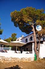 Terras Agistri Club | Angistri (Agkistri) - Saronic Gulf Islands - Greece | Photo 2 - Photo GreeceGuide.co.uk