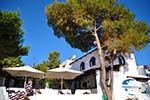 Terras Agistri Club | Angistri (Agkistri) - Saronic Gulf Islands - Greece | Photo 3 - Photo GreeceGuide.co.uk