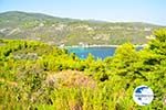 Tzortzi | Alonissos Sporades | Greece  Photo 1 - Photo GreeceGuide.co.uk