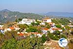 Alonissos town (Chora) | Sporades | Greece  Photo 11 - Photo GreeceGuide.co.uk