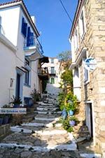 Alonissos town (Chora) | Sporades | Greece  Photo 60 - Photo GreeceGuide.co.uk