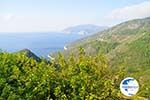 View from Alonissos town | In the verte Skopelos | Greece  1 - Photo GreeceGuide.co.uk