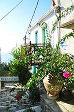 Alonissos town (Chora) | Sporades | Greece  Photo 81 - Photo GreeceGuide.co.uk