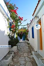 Alonissos town (Chora) | Sporades | Greece  Photo 94 - Photo GreeceGuide.co.uk