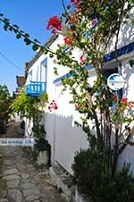 Alonissos town (Chora) | Sporades | Greece  Photo 96 - Photo GreeceGuide.co.uk