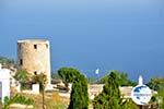 Alonissos town (Chora) | Sporades | Greece  Photo 103 - Photo GreeceGuide.co.uk