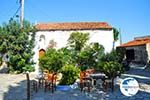 Alonissos town (Chora) | Sporades | Greece  Photo 113 - Photo GreeceGuide.co.uk