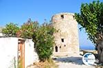 Alonissos town (Chora) | Sporades | Greece  Photo 116 - Photo GreeceGuide.co.uk