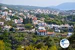 Alonissos town (Chora) | Sporades | Greece  Photo 118 - Photo GreeceGuide.co.uk