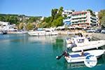 Patitiri | Alonissos Sporades | Greece  Photo 17 - Photo GreeceGuide.co.uk