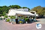 Patitiri | Alonissos Sporades | Greece  Photo 26 - Photo GreeceGuide.co.uk