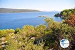 Agios Petros near Steni Vala | Alonissos Sporades | Greece  Photo 12 - Photo GreeceGuide.co.uk