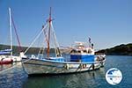 Steni Vala | Alonissos Sporades | Greece  Photo 18 - Photo GreeceGuide.co.uk