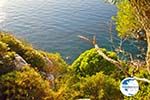 View from Agioi Anargiri monastery | Alonissos Sporades | Greece  Photo 3 - Photo GreeceGuide.co.uk