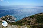 Agia Anna Amorgos - Island of Amorgos - Cyclades Photo 132 - Photo GreeceGuide.co.uk