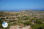 Arkesini Amorgos - Island of Amorgos - Cyclades Photo 161 - Photo GreeceGuide.co.uk