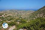 Arkesini Amorgos - Island of Amorgos - Cyclades Photo 162 - Photo GreeceGuide.co.uk