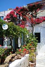 Amorgos town (Chora) - Island of Amorgos - Cyclades Photo 215 - Photo GreeceGuide.co.uk