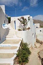 Tholaria Amorgos - Island of Amorgos - Cyclades Greece Photo 283 - Photo GreeceGuide.co.uk