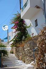 Tholaria Amorgos - Island of Amorgos - Cyclades Greece Photo 285 - Photo GreeceGuide.co.uk