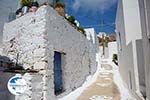 Tholaria Amorgos - Island of Amorgos - Cyclades Greece Photo 286 - Photo GreeceGuide.co.uk