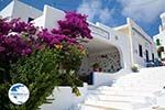 Tholaria Amorgos - Island of Amorgos - Cyclades Greece Photo 289 - Photo GreeceGuide.co.uk