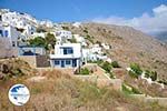 Tholaria Amorgos - Island of Amorgos - Cyclades Greece Photo 301 - Photo GreeceGuide.co.uk