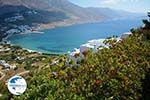 Aigiali Amorgos - Island of Amorgos - Cyclades  Photo 309 - Photo GreeceGuide.co.uk