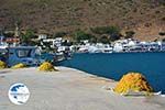 Katapola Amorgos - Island of Amorgos - Cyclades Greece Photo 407 - Photo GreeceGuide.co.uk