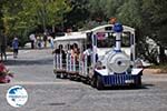 Small train near Acropolis of Athens of Athens Photo 2 - Photo GreeceGuide.co.uk