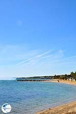 Nea Makri near Athens | Attica - Central Greece | Greece  Photo 6 - Photo GreeceGuide.co.uk