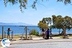 Nea Makri near Athens | Attica - Central Greece | Greece  Photo 15 - Photo GreeceGuide.co.uk