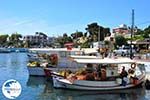 Nea Makri near Athens | Attica - Central Greece | Greece  Photo 19 - Photo GreeceGuide.co.uk