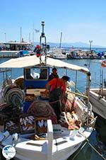 Nea Makri near Athens | Attica - Central Greece | Greece  Photo 21 - Photo GreeceGuide.co.uk