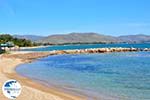 Nea Makri near Athens | Attica - Central Greece | Greece  Photo 28 - Photo GreeceGuide.co.uk