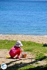 Nea Makri near Athens | Attica - Central Greece | Greece  Photo 38 - Photo GreeceGuide.co.uk