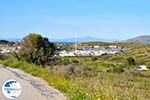 The harbour of Somewhere between Sounion and Lavrio | Attica - Central Greece Photo 1 - Photo GreeceGuide.co.uk