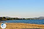 beach Nea Makri | Attica - Central Greece | Greece  Photo 1 - Photo GreeceGuide.co.uk